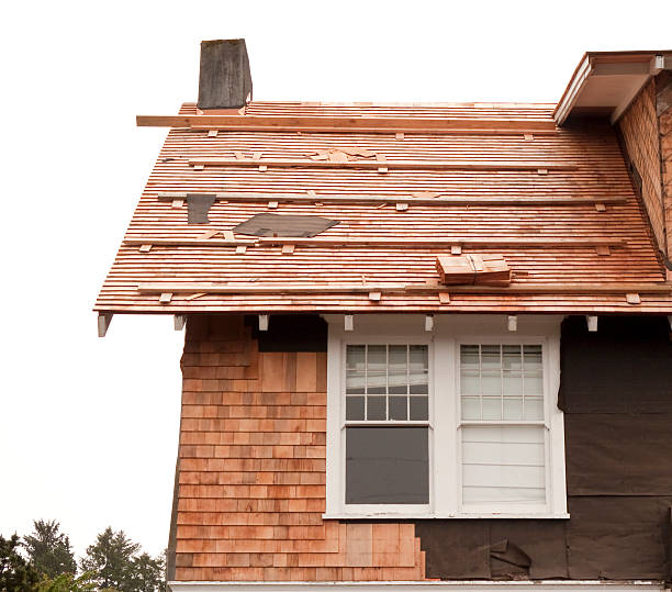 Affordable Siding Repair and Maintenance Services in Newington, VA